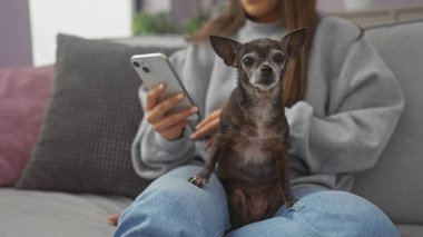 Genç bir İspanyol kadın, elinde akıllı bir telefonla evcil köpeği Chihuahua ile kapalı bir koltukta oturuyor.