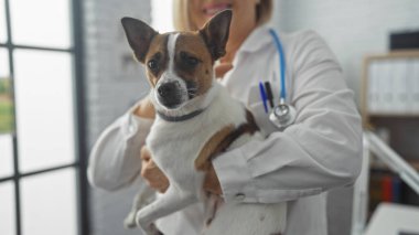 Beyaz, sarışın, orta yaşlı, veteriner bir kadın. Parlak bir klinikte küçük bir köpeği tutuyor..