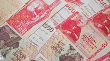 İzlanda krona banknotları, İzlanda 'nın para birimi tasarımının karmaşıklığını vurguluyor..