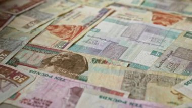 Mısır banknotları farklı banknotlar rastgele düzenlenmiş, renkli para birimi ayrıntıları sergileniyor Mısırlı pound ve tarihsel figürler üzerinde duruluyor.