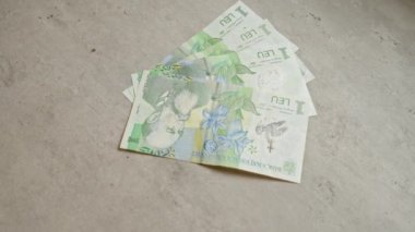 Romen banknotları somut bir yüzeye yayılarak, Romanya 'nın belirgin tasarım ve para birimini gözler önüne serdi.