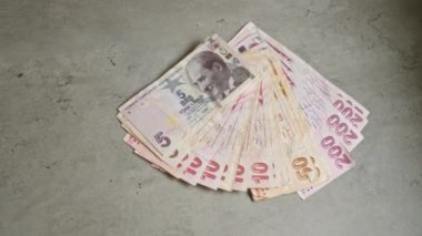 Türkiye 'nin 5, 10, 50 ve 200 liralık banknotları beton bir yüzeye yayılarak Türkiye' nin para sistemi ve ekonomisine ilişkin görsel bir görüntü sağlıyor..