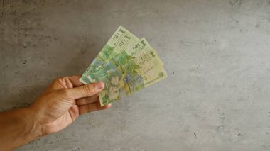 Elele tutuşan Romen lei banknotları somut arka plana karşı, finans, para birimi ve Romen para kavramlarının altını çizerek, bağlamsal bir mali zemin sağlıyor.