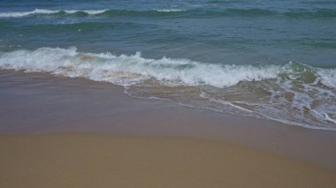 Sakin bir sahil sahnesi, kumlu sahilde dalgaların dalgalandığı sakin bir sahil manzarası, dinlenmek ve tatil için ideal bir açık hava ortamı tasvir ediyor..