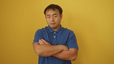 Mavi gömlekli, ciddi bir ifadeye sahip yakışıklı genç bir Çinli kollarını izole edilmiş sarı bir arkaplanda kavuşturuyor..
