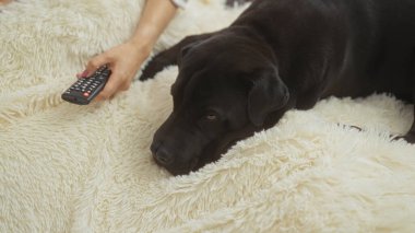 Bir kadın şehir ortamında rahat beyaz bir battaniyenin üzerinde Labrador köpeğiyle rahatlıyor, elinde uzaktan kumandayla, sakin bir arkadaşlık anı sergiliyor.
