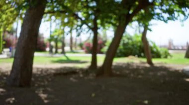 Bulanık ağaçlar, patikalar ve yemyeşil yapraklarla bulanık bir açık hava parkı sahnesi aydınlık gün ışığında bokeh etkisi yaratıyor.