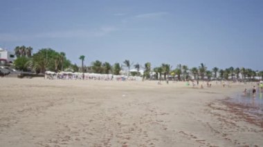 İnsanlar, arka planda palmiye ağaçları ve açık mavi gökyüzü olan tropikal bir plajda güneşli bir günün tadını çıkarıyorlar.