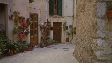 Mallorca 'da dar bir sokak, eski taş duvarlar, renkli saksılar, pencereler ve büyüleyici bir akdeniz titreşimi saçan ahşap kapılar.