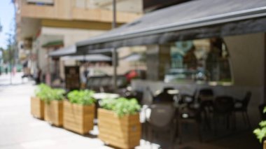 Odaklanamayan bitkilerle bulanık kafeterya sahnesi ve yumuşak güneş ışığında kentsel arka plan