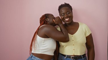 Afro-Amerikan kadınları bir sırrı paylaşıyor ve birlikte gülüyorlar. Pembe bir arka plan, dostluk ve aile sevgisine karşı..