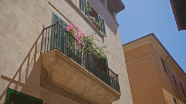 Palma Mallorca 'da pembe çiçeklerle güzel bir balkon. Açık mavi gökyüzünün altında geleneksel İspanyol mimarisini gösteriyor.