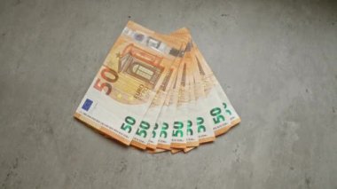 Avrupa Birliği 'nden gelen 50 avroluk banknotlar sergilenerek, bunların tasarım ve güvenlik özellikleri hakkında net bir görüş sunuluyor.