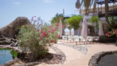 Lanzarote, İspanya 'daki bulanık çiçekler, sandalyeler ve şemsiyelerin altındaki masaların yer aldığı ve kanarya adalarının huzurlu tatil atmosferini yakaladığı dış mekan..