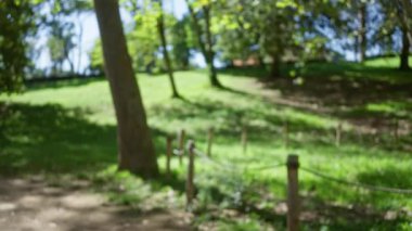Villa borghese, Roma 'da Bokeh ile bulanık manzara, yeşil yapraklar, ağaç gövdesi, ve güneşli bahçe, sakin ve rüya gibi bir açık hava manzarası yaratıyor.