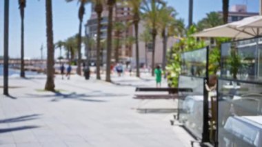 Palmiye ağaçları, insanlar ve binalar ile bulanık bir açık hava sahnesi, Bokeh ile parlak güneşli bir güne odaklanmış ve deniz kenarı gezinti alanı yakınındaki çözülmüş arka plan