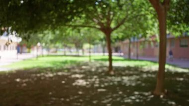 Parlak güneşli bir ortamda ağaçlar ve çimlerle kaplı bir açık hava parkı doğal olarak huzurlu bir ortam yaratıyor..