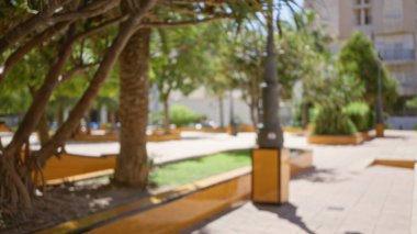 Gün boyunca bulanık ağaç ve bankların arka planda bokeh etkisi yarattığı bir açık hava parkının odaklanmış görüntüsü