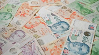 Singapur dolarları banknotları çeşitli banknotlar halinde, canlı bir şekilde sergilenerek, Singapur 'un renkli para birimini ve karmaşık tasarım elementlerini sergiliyor..