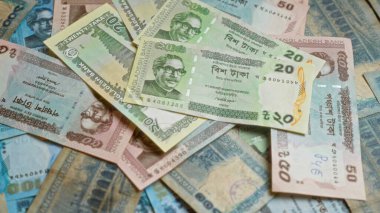 Bangladeş banknotları, Bangladeş bankasının çeşitli banknotlarının sergilendiği bir yüzeyde sergileniyor..