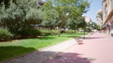 Bulanık, açık hava, arka plan sahnesi parktaki yeşillik, bokeh, çözülmüş yol, ve güneşli gökyüzünün altındaki uzak banklar.