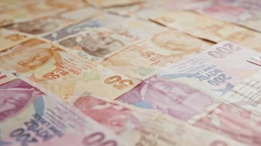 Türk lira banknotları bir yüzeye dağılmış, çeşitli mezhepler ve hindinin karmaşık para birimi tasarımlarını gözler önüne seriyor.