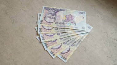 Romen banknotları somut bir yüzeye yayılarak, para biriminin karmaşık tasarımları ve canlı renklerini gözler önüne seriyor.