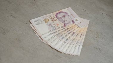 Singapur banknotları ülkenin para ve finans temasını gösteren iki dolarlık banknotlar sergiliyor.