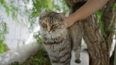 Gün ışığında dışarıda kedi besleyen bir kadın, arka planda yeşil bitkiler ve ağaç kabukları olan sakin bir bahçe atmosferi yaratıyor.
