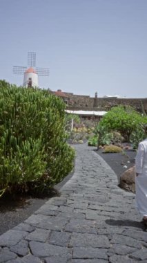 Lanzarote kanarya adalarında arka planda yel değirmeni olan kaktüs bahçesinde yürüyen bir kadın.