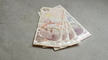 Türkiye 'de beş liralık banknotlar, tarafsız bir iç mekanda beton bir yüzeye yayılarak Türkiye' nin para birimi üzerinde durulmasını sağlıyor.
