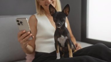 Orta yaşlı sarışın kadın, oturma odasında küçük siyah bir chihuahua ile kanepede otururken akıllı telefon kullanıyor..