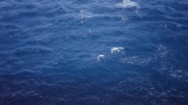 Derin mavi okyanus dalgaları, desenli dalgalar ve güneş ışığı yansımaları huzur ve doğal deniz manzarası yaratır, sükunet ve açık havada rahatlama için idealdir..