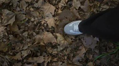 Kuru sonbahara basan bir kadın ormanda spor ayakkabısıyla dışarı çıkar. Güneş ışığı altında sakin ve huzurlu bir atmosfer yaratır..