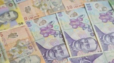 Romanya 'nın çeşitli banknotları, Romanya' dan farklı değerler ve leu para birimlerinin tasarımlarını gözler önüne seriyor