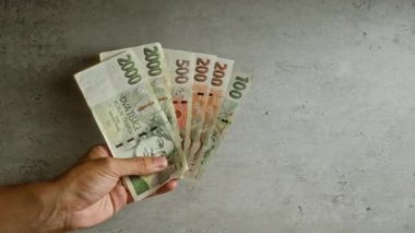 Elele tutuşan czech koruna banknotları somut bir arka plana karşı, çeşitli değerleri vurguluyor