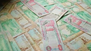 Birleşik Arap Emirlikleri, çeşitli renklerde banknotlar sergiliyor. Detaylı tasarımlar ve para birimini vurgulayan kültürel unsurlar sergiliyorlar.