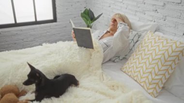 Gündüz vakti yatak odasında Chihuahua köpeğiyle kitap okuyan bir kadın.
