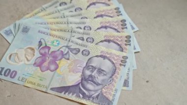 Romen leu banknotları somut bir yüzeye yerleştirilerek, 100 lelik banknotun ayrıntıları vurgulandı