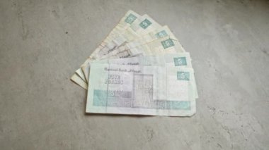 Mısır 'ın beş sterlinlik banknotları, Mısır Merkez Bankası' nın para birimi detaylarını gösteren beton bir yüzey sergiliyor..
