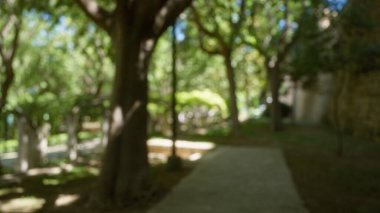 Mallorca 'da bir açık hava parkının bulanık fotoğrafı. Arka planda ağaçlar ve yürüyüş yolu var.