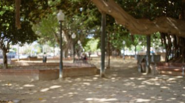 Ağaçlık yolu ve arka planında bokeh olan odaksız açık hava parkı