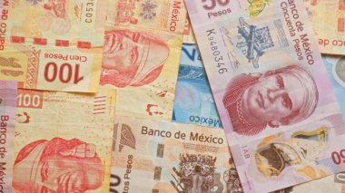 Meksika pesolarının detaylı yakın plan görüntüleri Banco de Mexico 'daki çeşitli banknotları gösteriyor, canlı renkler ve karmaşık tasarımlar sergiliyor..