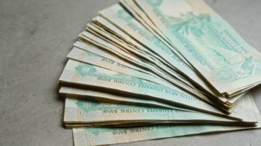 Uae dirhams banknotları, birleşik Arap Emirlikleri bağlamındaki finansal temaları vurgulayarak, somut bir yüzeye yayıldı.