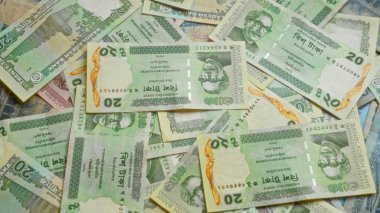 Bangladeş banknotları, Bangladeş parasının finansal unsurlarını vurgulamak için dağınık bir şekilde serilmiş çeşitli taka para birimlerini içerir..