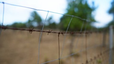 Ağaçlı ve bulanık arka planlı kırsal ve açık havada dikenli tellere yakın plan.