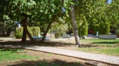 Bulanık ağaçlar, patika ve doğal yeşillik olan güneşli bir açık hava parkı bulanık bir arka plan oluşturur..