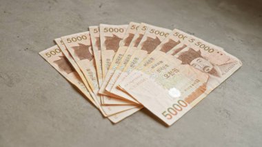 Güney Kore banknotları düzgün bir şekilde somut bir yüzey üzerinde düzenlenmiş, para ve finansmanı gösteren.
