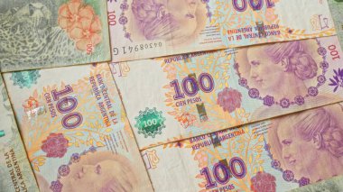 Arjantin 'den gelen 50 peso ve 100 peso değerinde Arjantin pesoları sergileniyor..