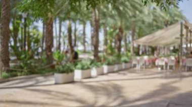 Açık havada, bahçesinde palmiye ağaçları ve arka planda bir kafe olan insanların oturduğu bulanık manzara.